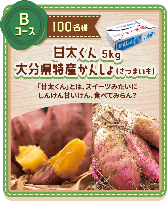 Bコース：甘太くん5kg 大分県特産かんしょ（さつまいも）：100名様